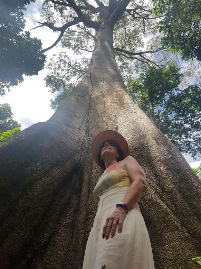 Amazon Safari® Manaus: Day trip on the Amazon River - Group size, guide quality, and the pace