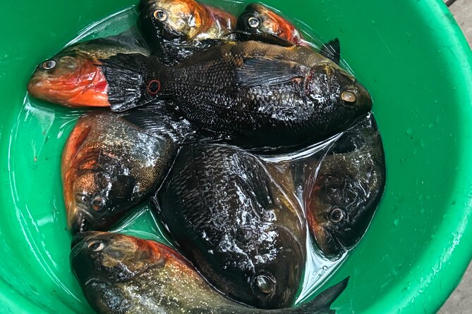 Amazon Survival Experience - Day five: breakfast, the river, and return to Manaus