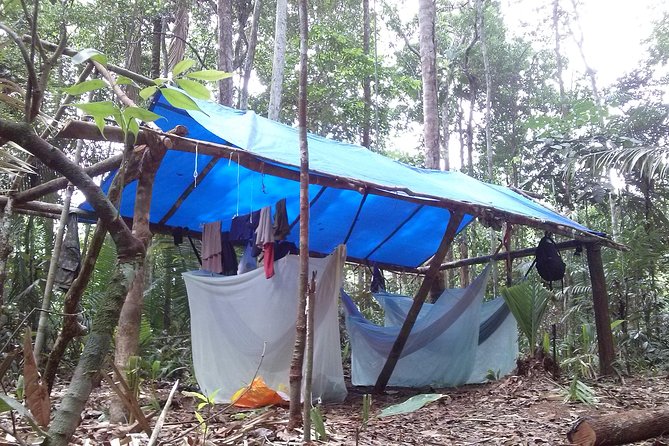Amazon Survival Tour 4D/3N - Meeting a forest family on Day 3