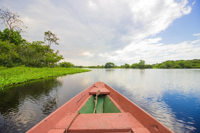 Amazon Survival Tour 4D/3N - How active is this Amazon trip?