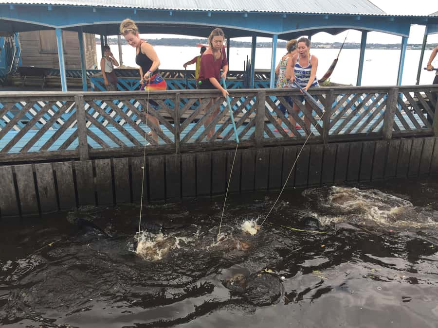 Amazonas: Boat Ride with a Local Amazonian - Why this short Manaus boat trip works