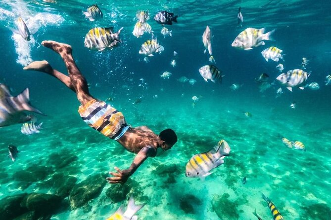 Angra dos Reis: A unique experience in paradise - What the $64.43 price really buys you