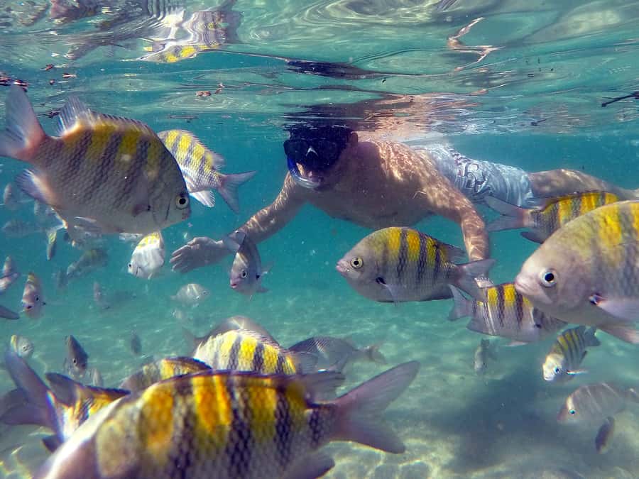 Angra dos Reis and Ilha Grande: Small-Group Fast-Boat Tour - Cataguases and Botinas Islands by speedboat