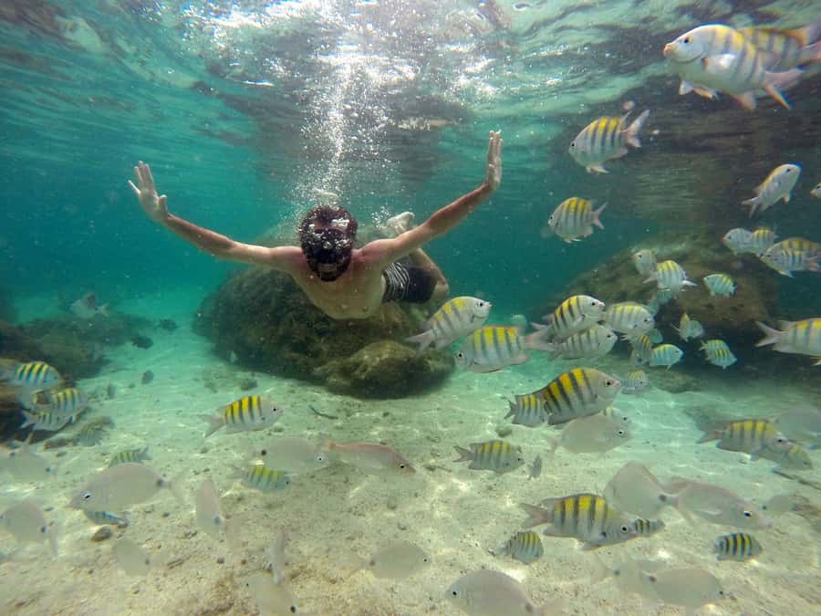 Angra dos Reis and Ilha Grande: Small-Group Fast-Boat Tour - Snorkeling, floats, and time in the water