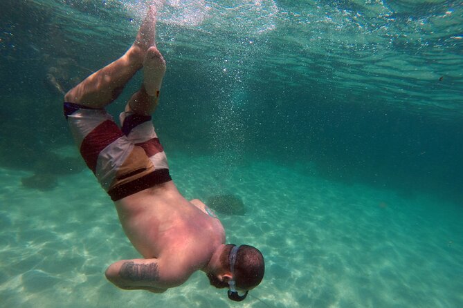 Angra dos Reis with Speedboat Tour - From Rio de Janeiro - Key points to know before booking
