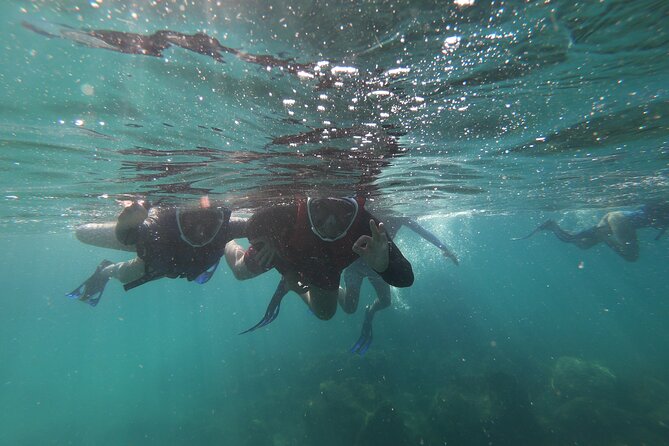Aqua Aventura - diving for families - Weather and water clarity deserve serious attention