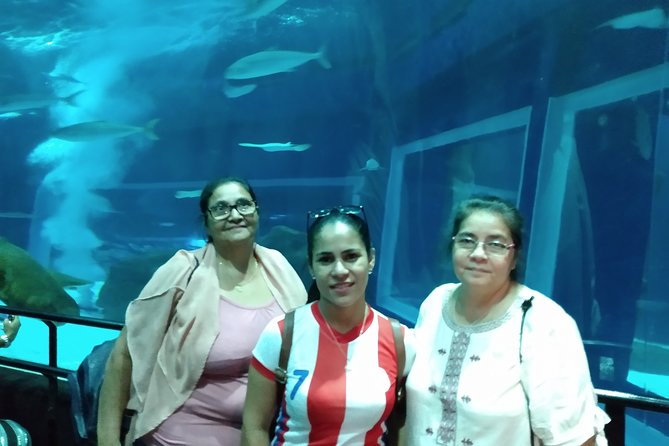 AquaRio + Olympic Boulevard + Transportation - Why AquaRio makes a good anchor for the outing