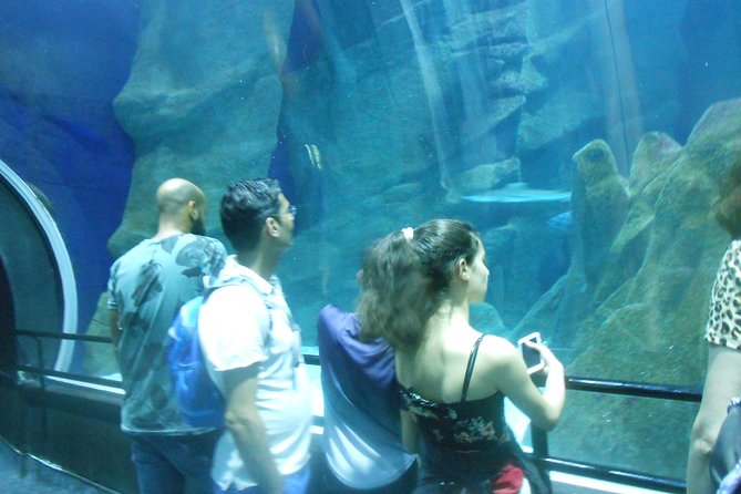 AquaRio + Olympic Boulevard + Transportation - Is $80.35 a fair price?