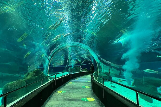 AquaRio Rio de Janeiro Tickets Only - What the AquaRio ticket actually gives you