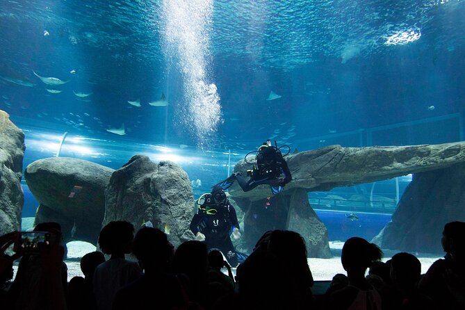 AquaRio Rio de Janeiro Tickets Only - Entering South America’s largest marine aquarium