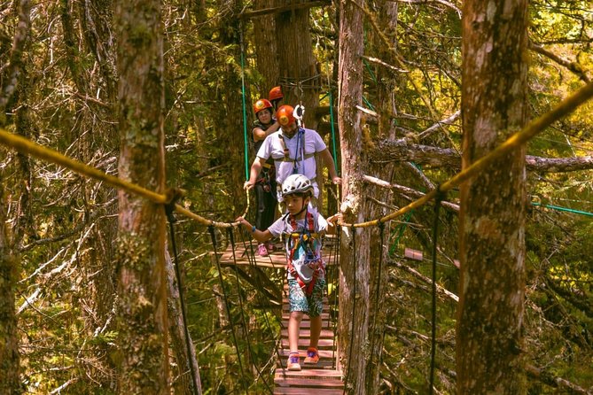 Arborismo in Horto Florestal - Campos Do Jordão - Key Points Before You Book