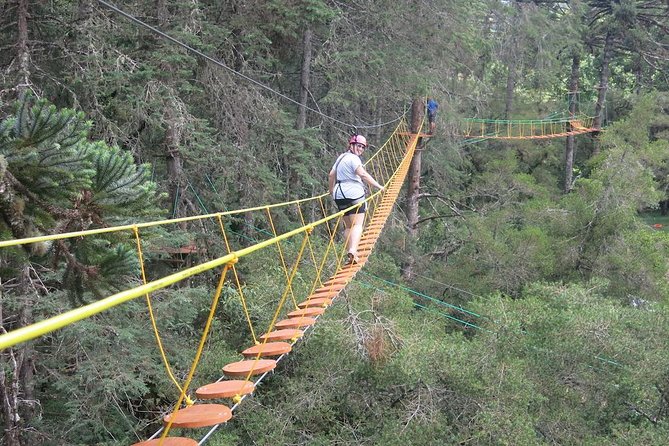 Arborismo in Horto Florestal - Campos Do Jordão - A Short Course With a Clear Focus