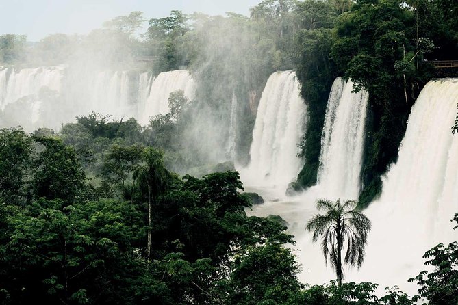 Argentine Side Iguassu Falls - Private Tour - Inside Iguazu National Park in Argentina