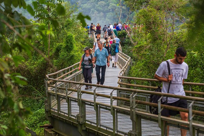 Argentinian Side of the Falls - All Tickets Included - Choosing between the three walking routes