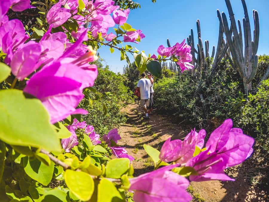 Armação dos Búzios: Walk Through the Natural Pools in Búzios - Key points at a glance