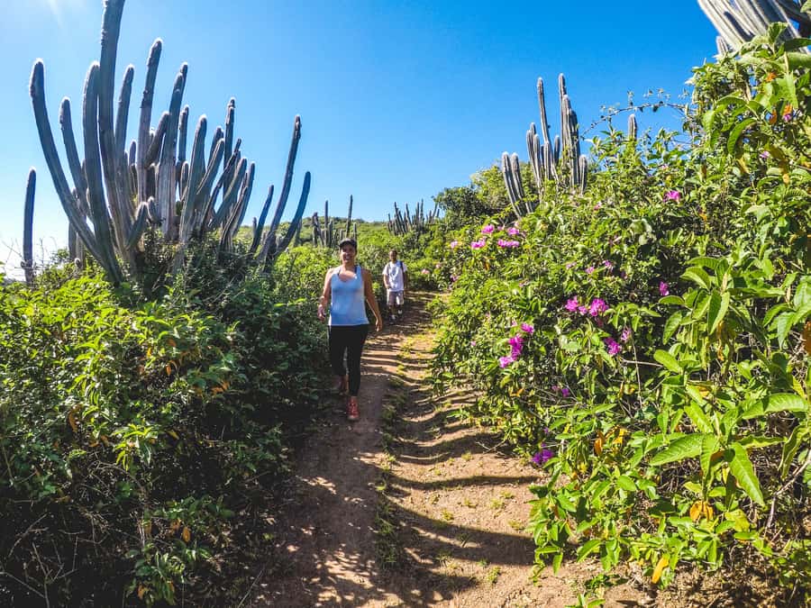 Armação dos Búzios: Walk Through the Natural Pools in Búzios - Should you book the Guardian Stone and natural pools walk?