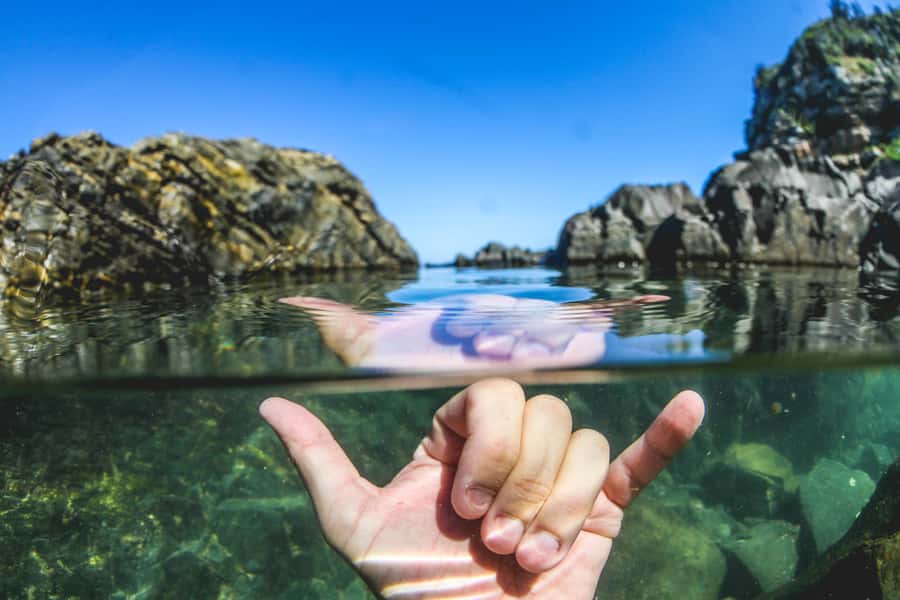 Armação dos Búzios: Walk Through the Natural Pools in Búzios - Praia dos Amores, shade, and optional Ferradurinha
