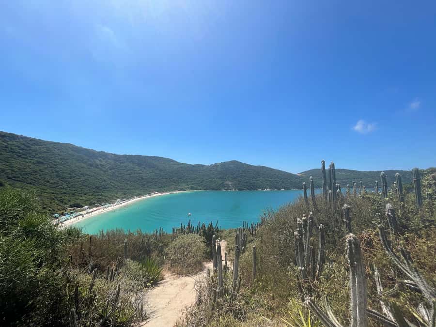 Arraial do Cabo: Boat Trip with Waterslide - Service, timing, and the feel of the outing