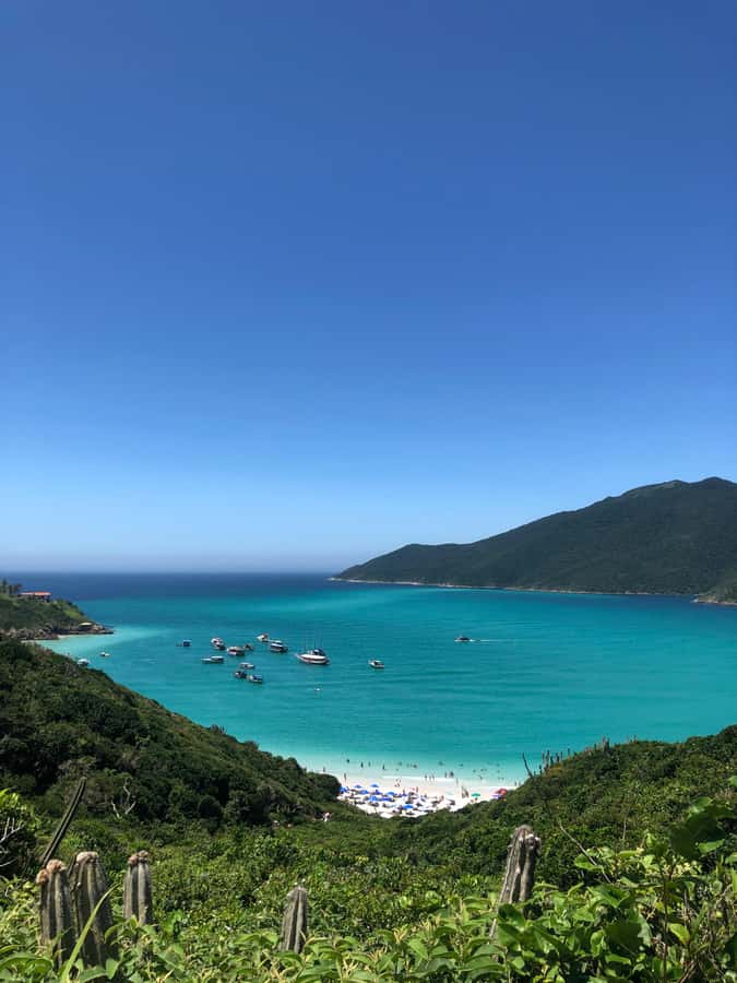 Arraial do Cabo: Boat Trip with Waterslide - Meeting Aline at Porto do Forno