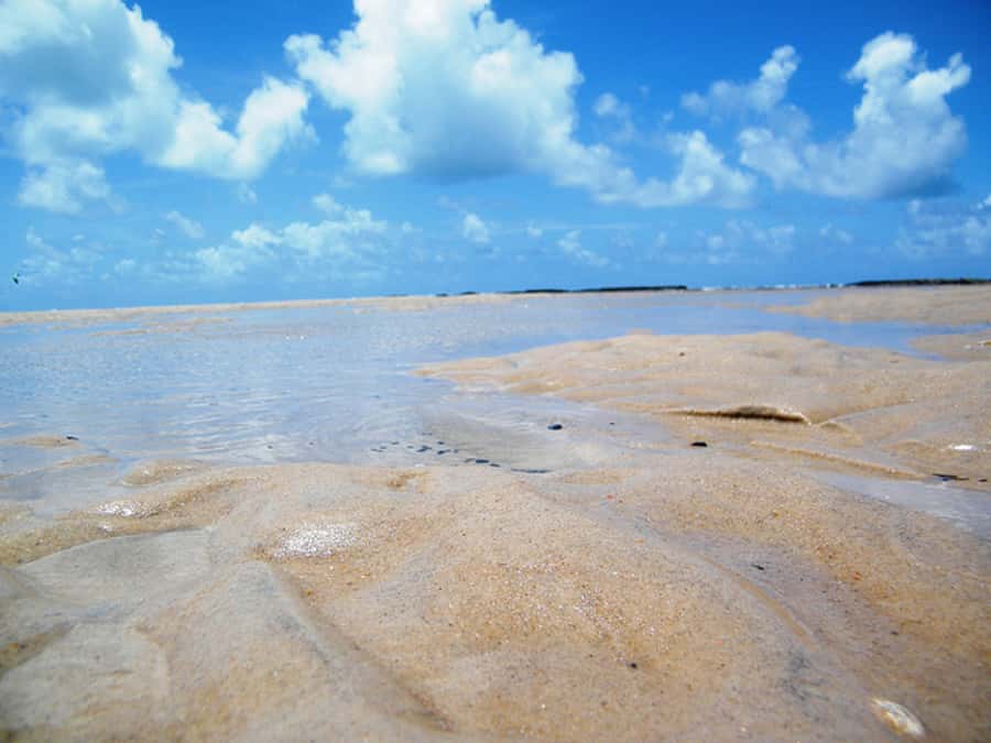 Barra do Cunhaú Full-Day Trip from Natal - The Catamaran Ride Along the Curimataú River