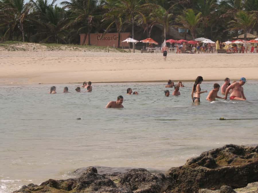Barra do Cunhaú Full-Day Trip from Natal - Packing for Sand, Sun, and Mangrove Stops