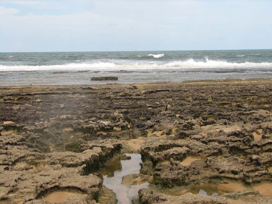 Barra do Cunhaú Full-Day Trip from Natal - Seeing the Prawn Farms at the River Mouth
