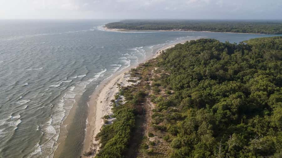 Belém: 2, 3 or 4-Day Marajó Island Excursion with Lodging - Reaching Marajó by regional riverboat