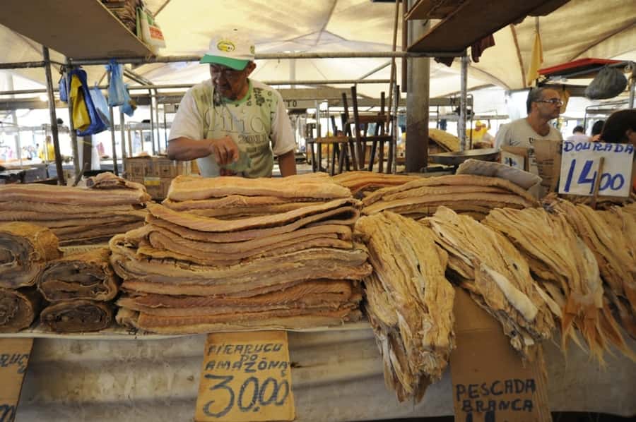Belém: Half-Day City Tour with Ver-o-Peso Market Visit - Why this four-hour route works in Belém
