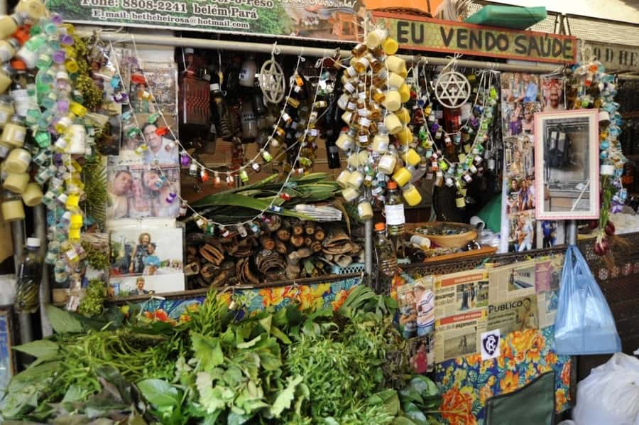 Belém: Half-Day City Tour with Ver-o-Peso Market Visit - Ver-o-Peso Market beside Guajará Bay