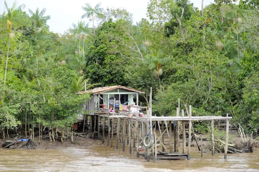 Belém: Half-Day Furos Boat Tour & Riverside Community Visit - Five details that shape the experience