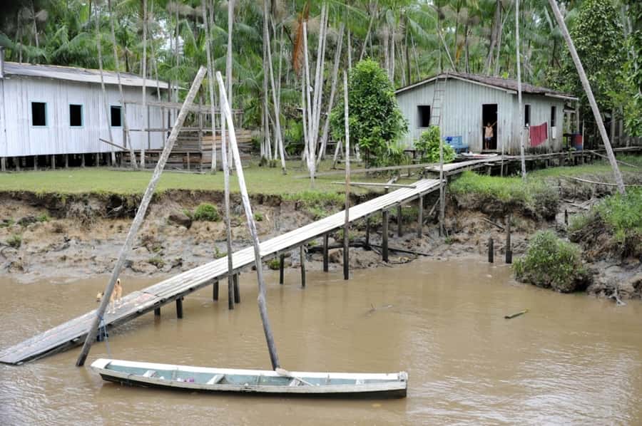 Belém: Half-Day Furos Boat Tour & Riverside Community Visit - Around Combú Island and its changing forest