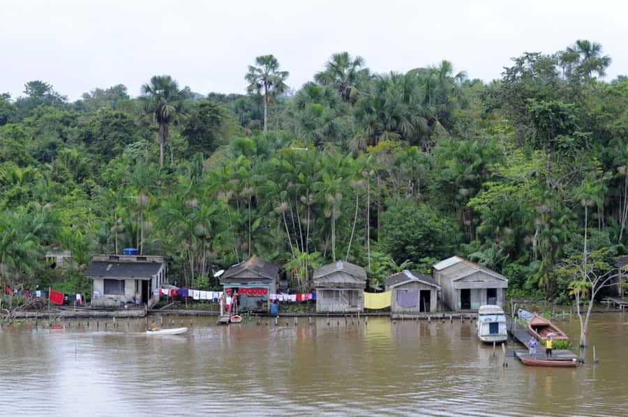 Belém: Half-Day Furos Boat Tour & Riverside Community Visit - What the guides add to the trip