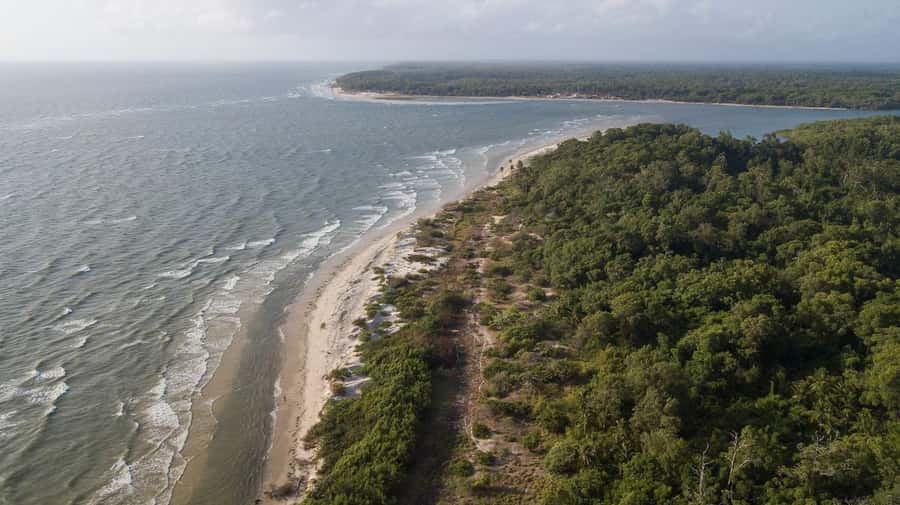 Belém: Marajó Island Day Trip with Buffalo Farm Visit - Soure, buffalo farms, and Pesqueiro Beach