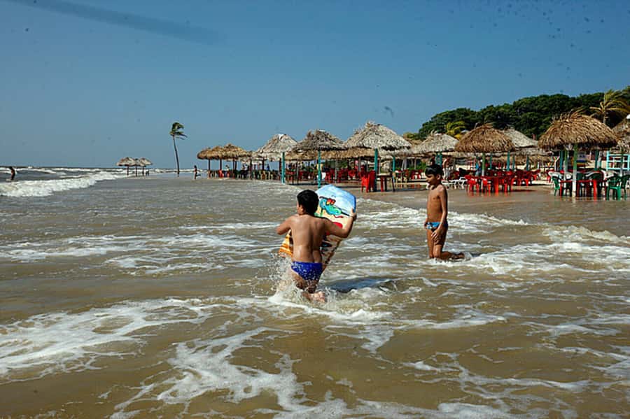 Belém: Marajó Island Day Trip with Buffalo Farm Visit - What the guides add to the day