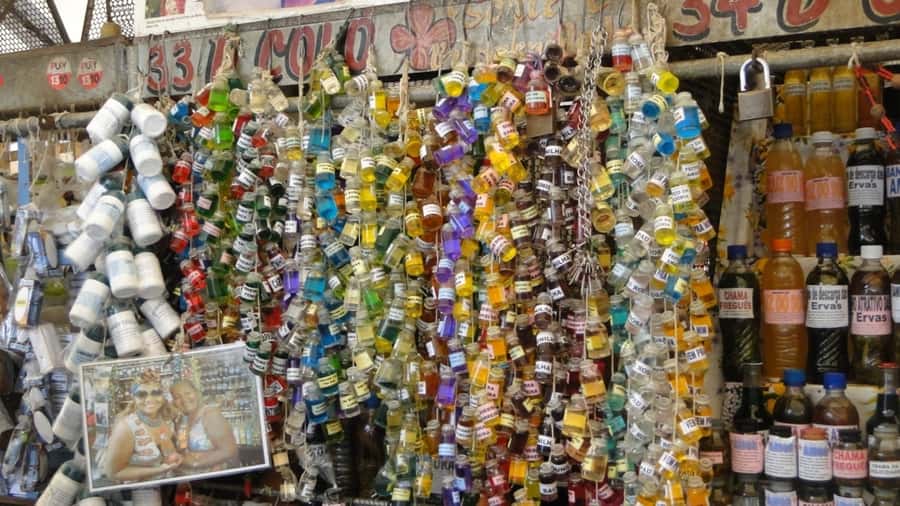 Belém: Ver-o-Peso Market and Full-Day City Tour with Lunch - Practical advice for a smoother day
