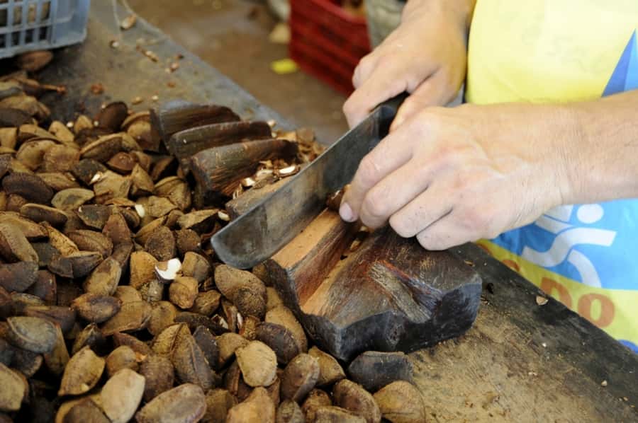 Belém: Ver-o-Peso Market and Full-Day City Tour with Lunch - Why this tour works as a first day in Belém