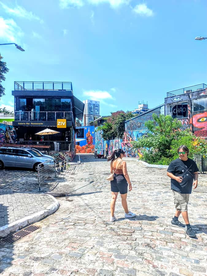 Best São Paulo City Tour History 5Hours Private Experience. - What the vehicle service adds