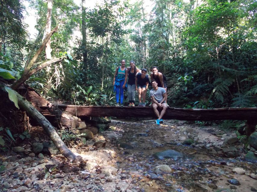 Bico do Papagaio Guided Hiking Tour in the Tijuca Forest - Who Will Enjoy This Hike Most