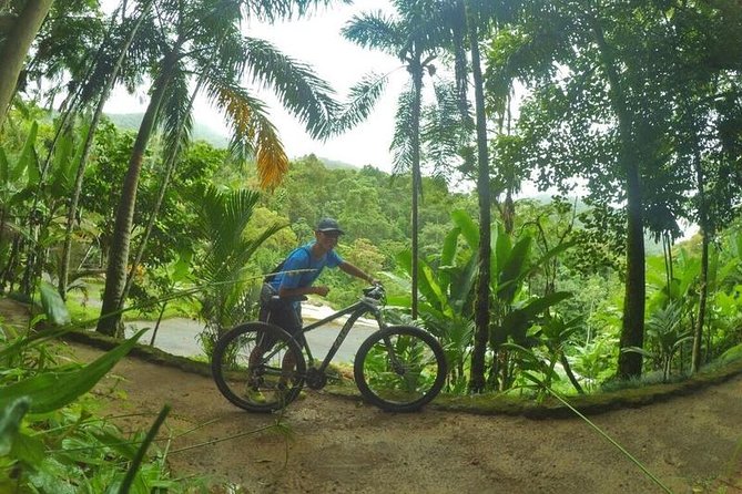 Bike rental BY PARATY TOURS - Why a Bicycle Fits Paraty So Well