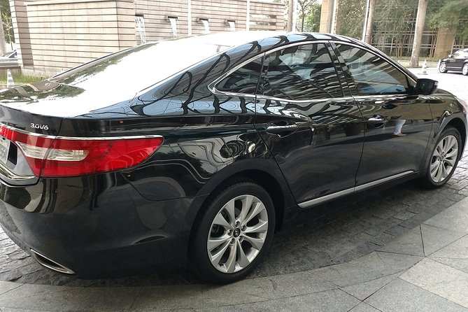 Bilingual Driver-Transfer from GRU Airport to Hotels in SP(sedan) - From GRU Airport to your São Paulo hotel