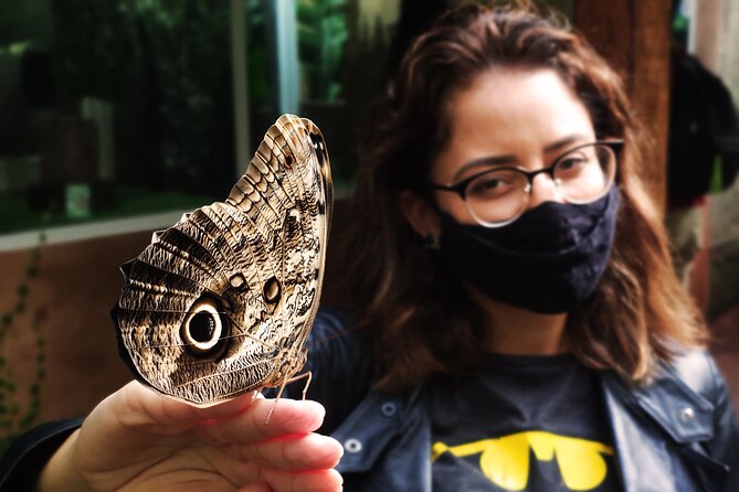Bird Park General Admission Ticket and Tour - Key points to know before you book