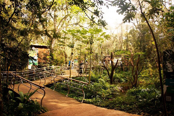 Bird Park General Admission Ticket and Tour - The Pantanal and forest sections