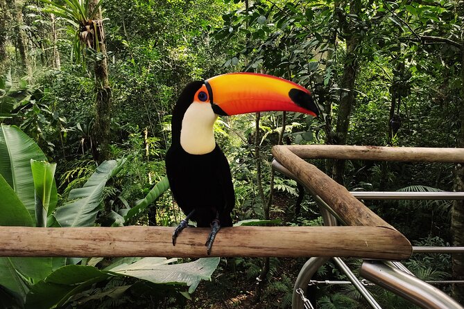 Bird Park General Admission Ticket and Tour - Is the park better as a stand-alone stop?