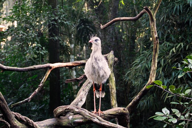 Bird Park General Admission Ticket and Tour - Family value and the self-guided pace