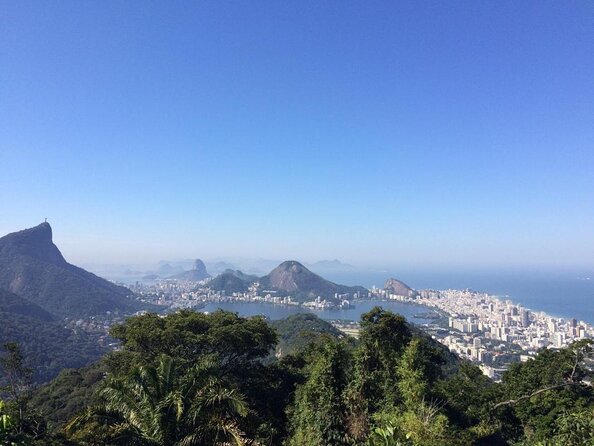 Birdwatching tour to Tijuca National Park with Pica-pau Tours - Five things to know before you go