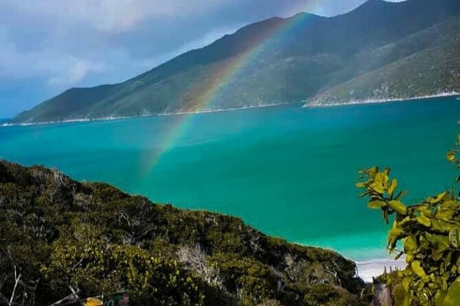 Boat Tour in Arraial do Cabo - Forno Beach: the first proper beach break