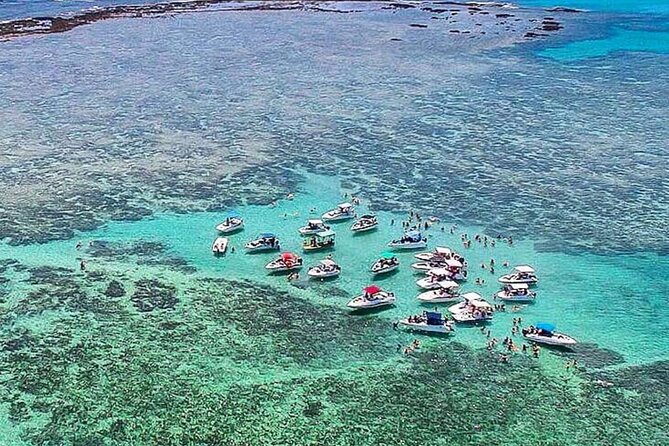 Boat Tour in Maragogi - Key points to know before you book