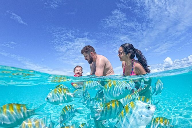 Boat Tour in Maragogi - The crew can shape the experience