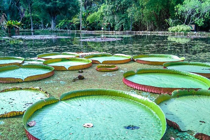 Botanical Garden, a Place of Science, Culture, and Leasure - Key points to know before booking