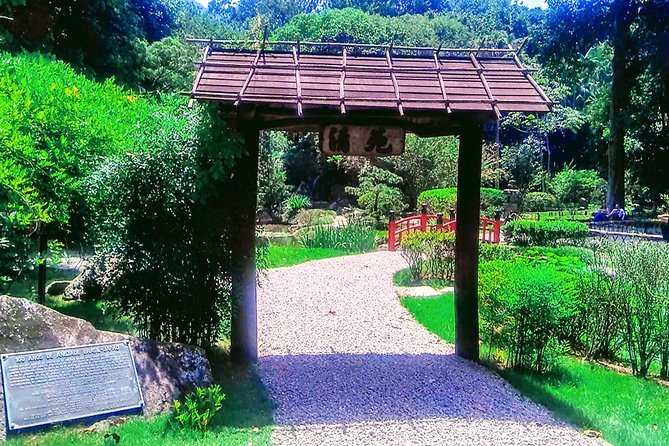 Botanical Garden, a Place of Science, Culture, and Leasure - The surprising bee section